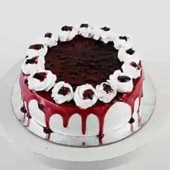Blueberry Cakes