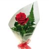 single rose gift