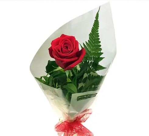single rose gift