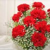 Fillers Around Red Carnations2