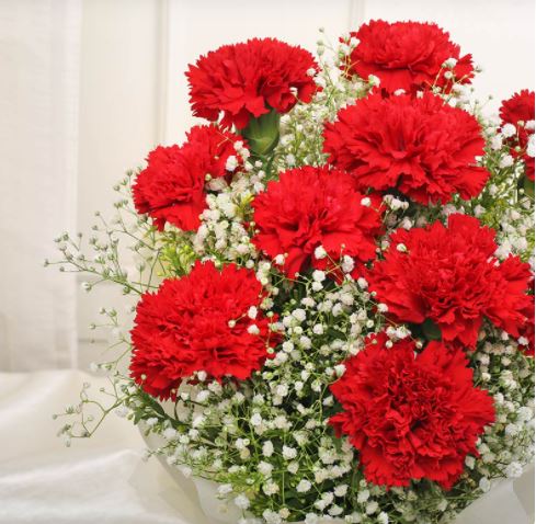 Fillers Around Red Carnations2