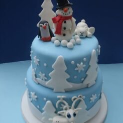 Winter Theme Cakes