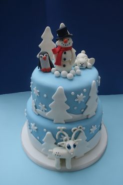 Winter Theme Cakes