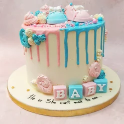 Designer He Or She Baby Shower Cake2