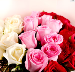Karwa Chauth Mixed Roses2