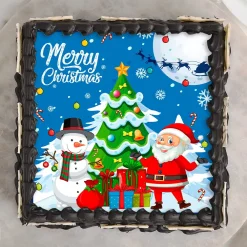 Square Shape Christmas Poster Cake2