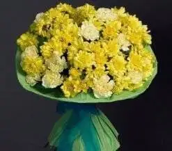 Yellow and White Flower Bunch