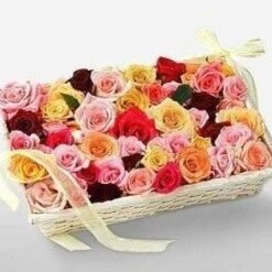 Mixed Color Roses