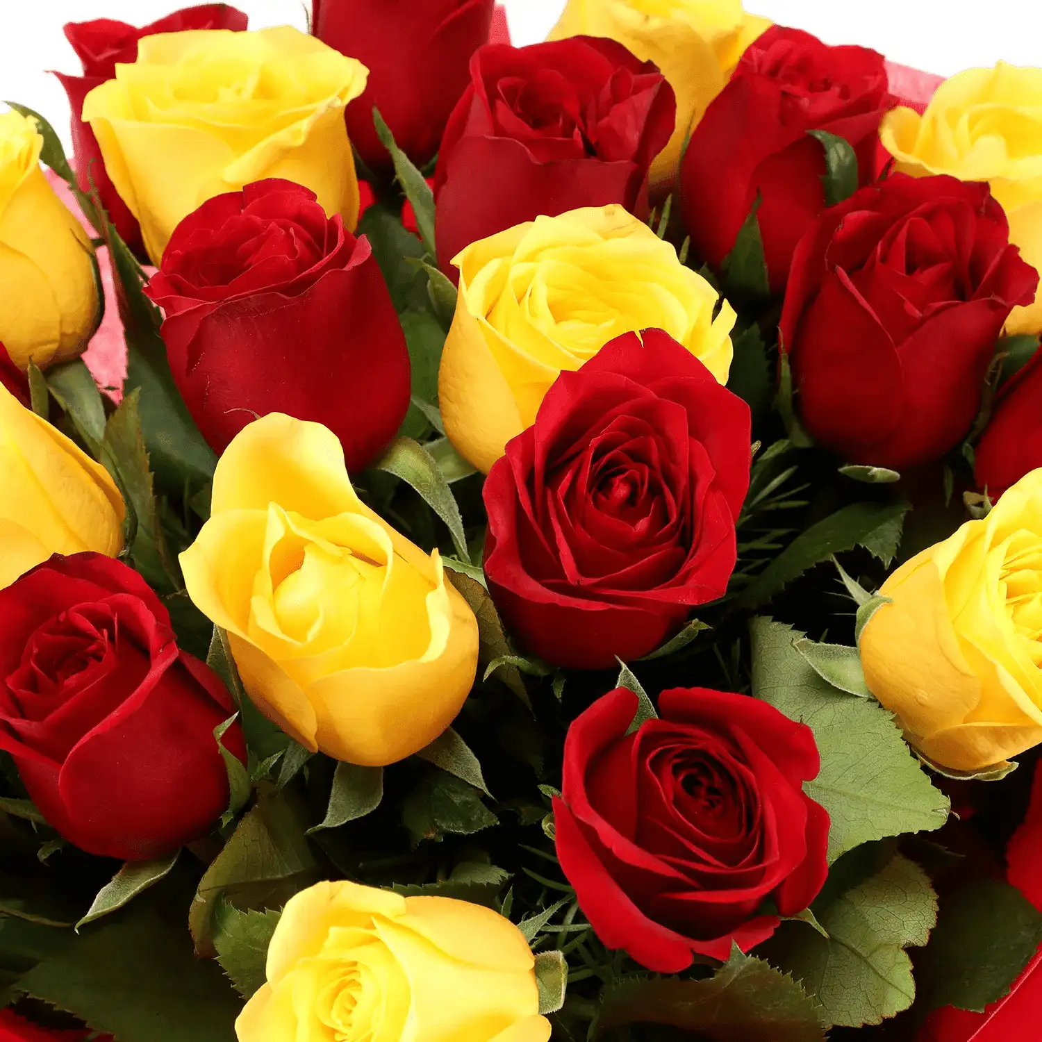 Incredible Gift Combo - Image 3