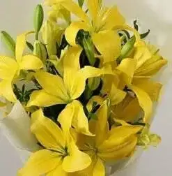 Alternative view of Beauty of Lillies
