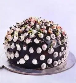 Fantasy Of Chocolate