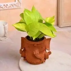 Divine Wealth Ganesha Pot2