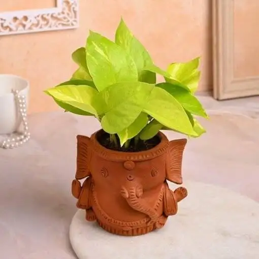 Divine Wealth Ganesha Pot - Image 2