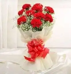 Fillers Around Red Carnations