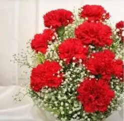 Alternative view of Fillers Around Red Carnations