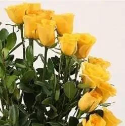 Alternative view of Finest Yellow Roses Arrangement