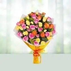 Mix Rose Garden