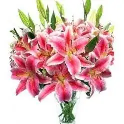 Pink Lilies with Vase