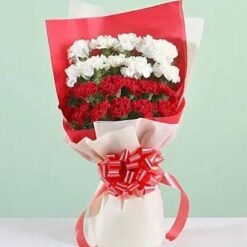 Red & White Carnation Bunch