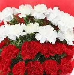Alternative view of Red & White Carnation Bunch