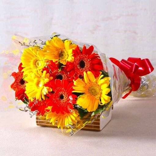 Red Yellow Gerberas