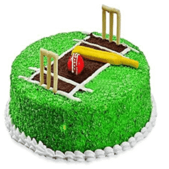 Cricket Designer Cake