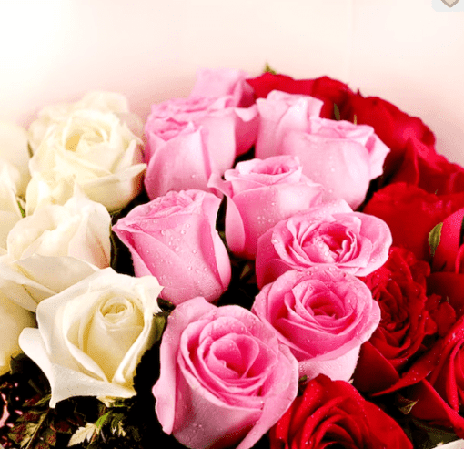 Karwa Chauth Mixed Roses - Image 3