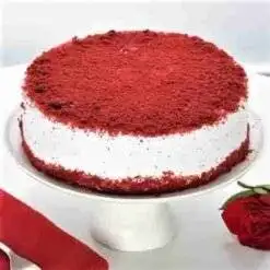 Celebration of Christmas with velvet