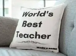 Worlds Best teacher Cushion