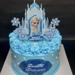 Multi Flavor Frozen Cake