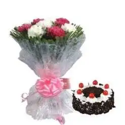 Adorable Carnation
