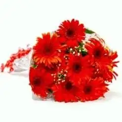 Gerberas for Loved ones