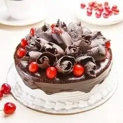 Chocolate Black Forest