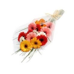 Mixed Beautiful Gerberas