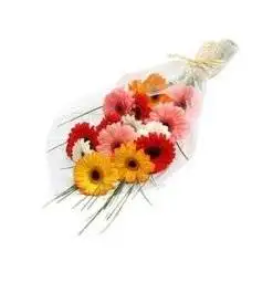 Mixed Beautiful Gerberas
