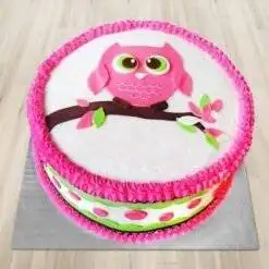 Designer Cute Pink Owl Cake