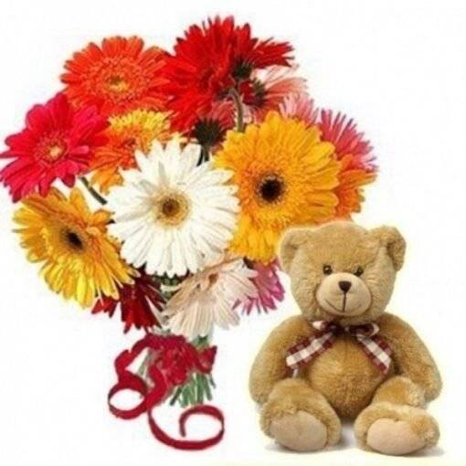 special gerbera teddy combo