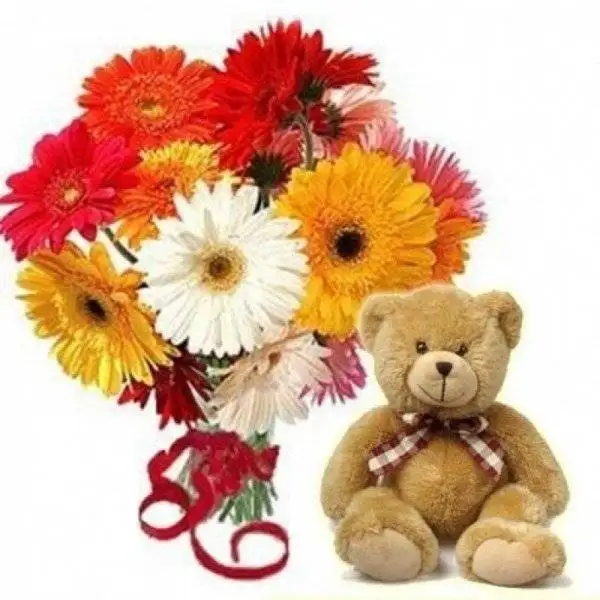 Special Gerbera Teddy Combo