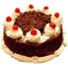Loveful Black Forest