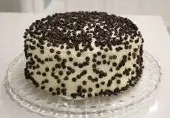 Fantastic Chocovanilla