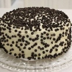 Vanilla Chocochips Cake