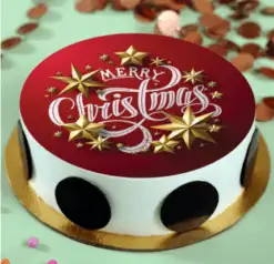 Alternative view of Christmas Pineapple Photo Cake