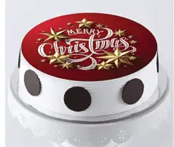 Christmas Pineapple Photo Cake