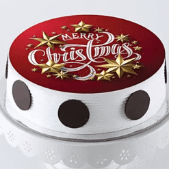 Christmas Pineapple Photo Cake