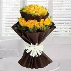 Yellow in Brown Wrapping