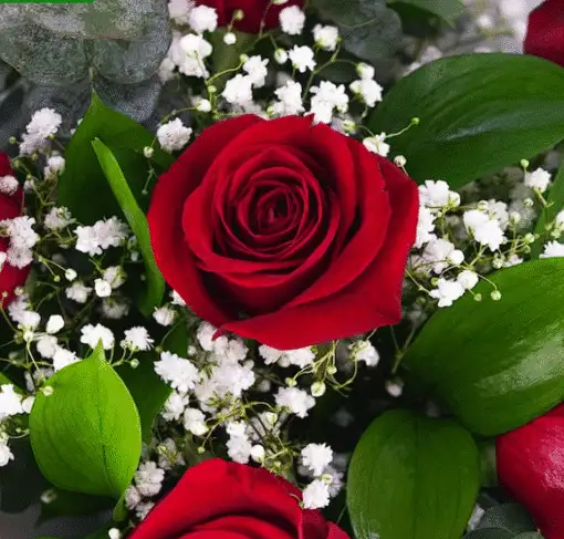 Red Elegance for Mom3