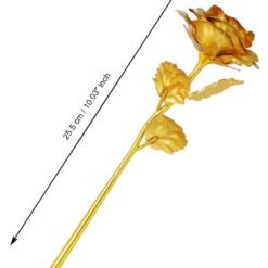 24K Golden Touch Gold Rose4