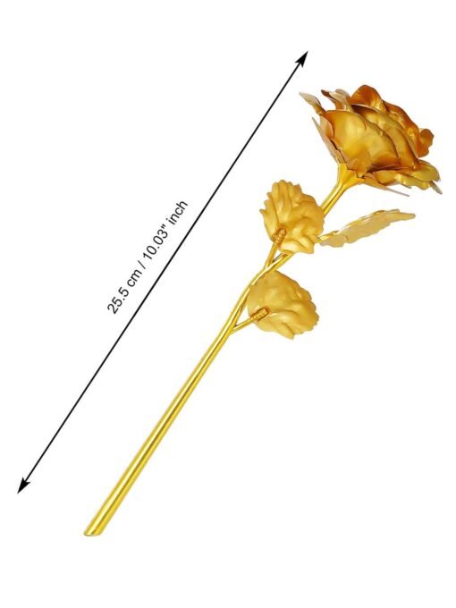 24K Golden Touch Gold Rose4