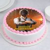 PUBG battleground champion birthday cake main view